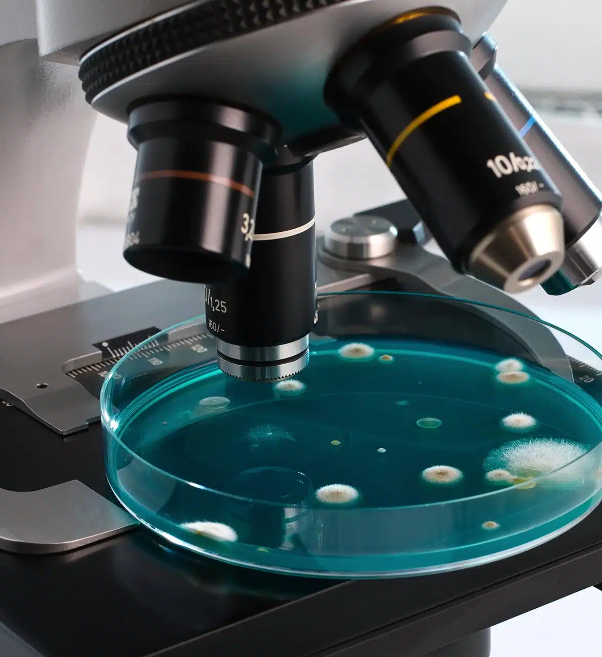 A-1 Certified Environmental Services